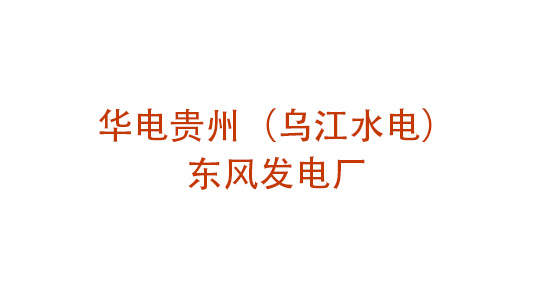 华电贵州（乌江水电）东风发电厂企业文化提升管理咨询